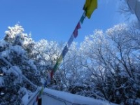 Dzogchen Winter  Dathun
